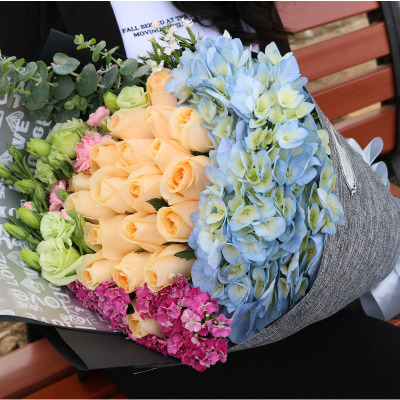 新春贺礼·尊享绽放 特A级蝴蝶兰——北京地区商务礼品与年宵花卉首选